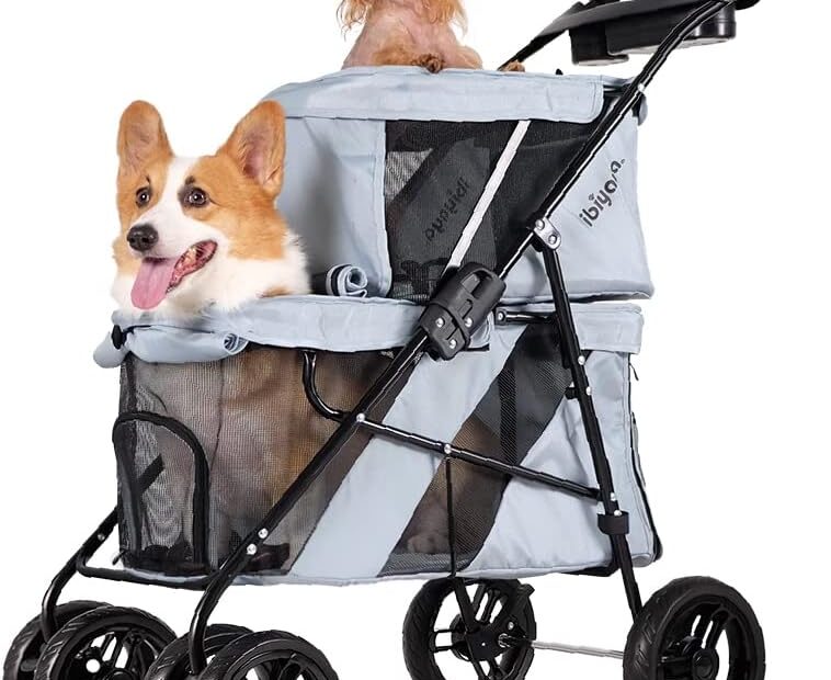 The Perfect Ride: Review of the ibiyaya Double Dog Stroller for Small and Medium Pets