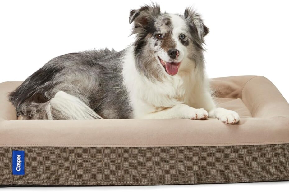The Ultimate Comfort: Casper Dog Bed Review for Your Pampered Pup