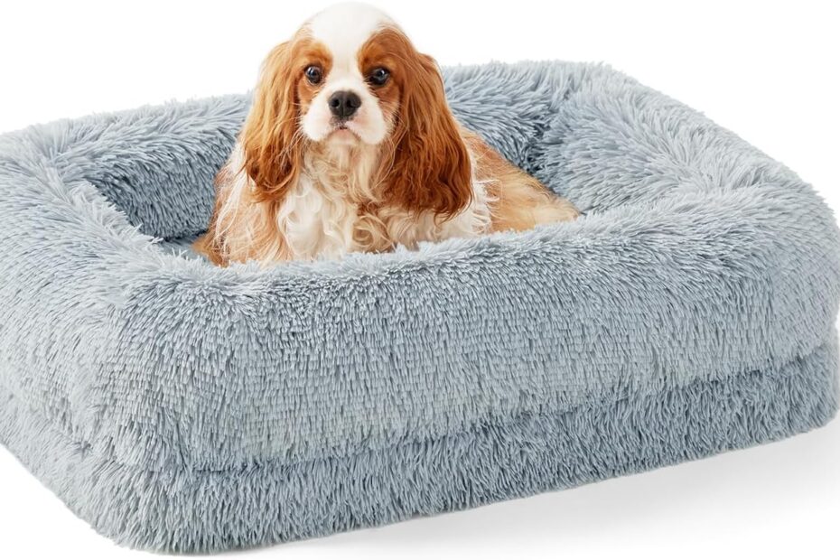 The Ultimate Comfort: Review of the Donut Dog Bed for Medium Dogs