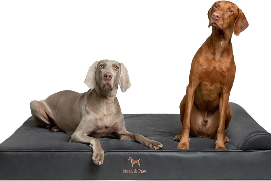 The Ultimate Review of the NOAH & PAW XXL Orthopedic Dog Bed: Comfort Meets Cool!