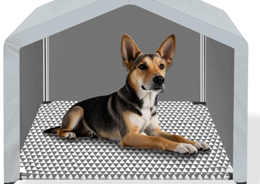 The Ultimate Upgrade: Cozy Outdoor & Indoor Cat House Review