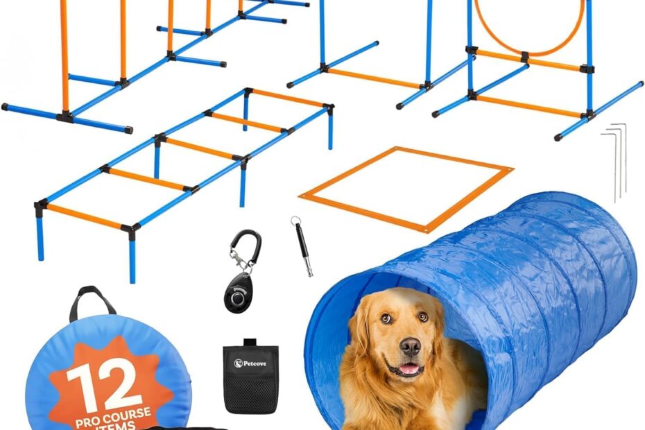 Transform Your Backyard: Dog Agility Course Set for Ultimate Training Fun!