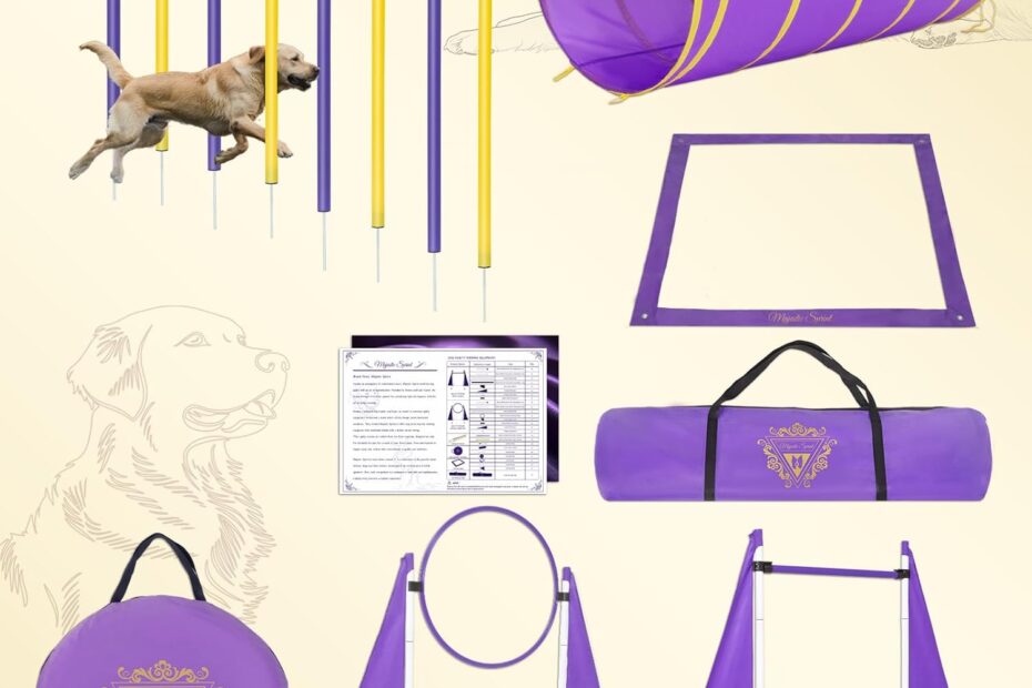 Transform Your Backyard into a Fun Dog Agility Course: Ultimate Pet Training Equipment Review!