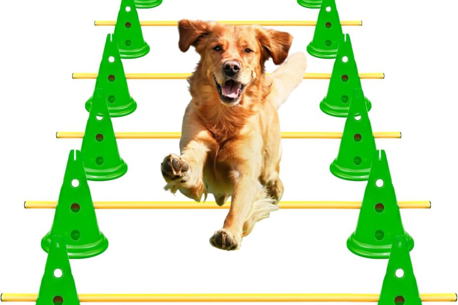 Transform Your Backyard: Ultimate Dog Agility Hurdle Cone Set Review