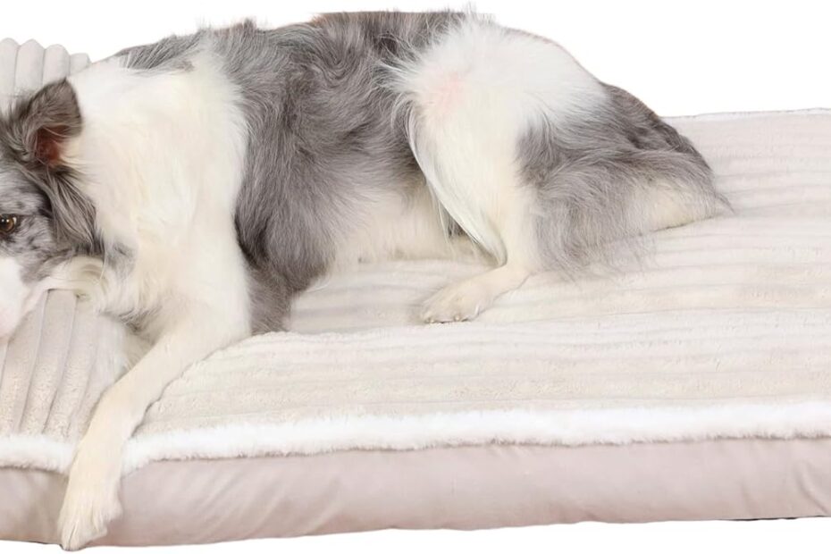 Transform Your Dog's Comfort: Orthopedic Memory Foam Bed Review!