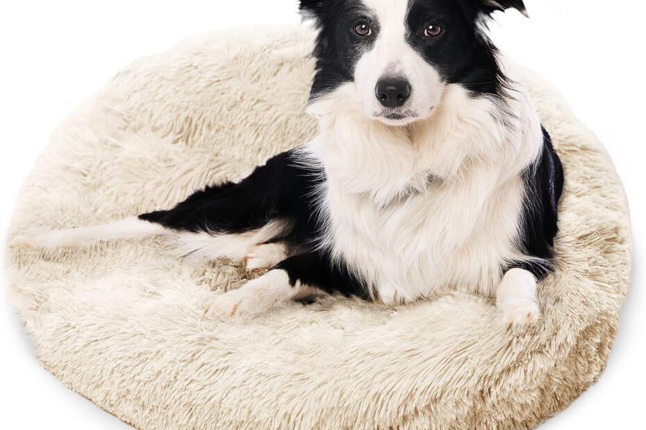 Transform Your Dog's Comfort: Review of the Active Pets Orthopedic Bed for Anxiety Relief