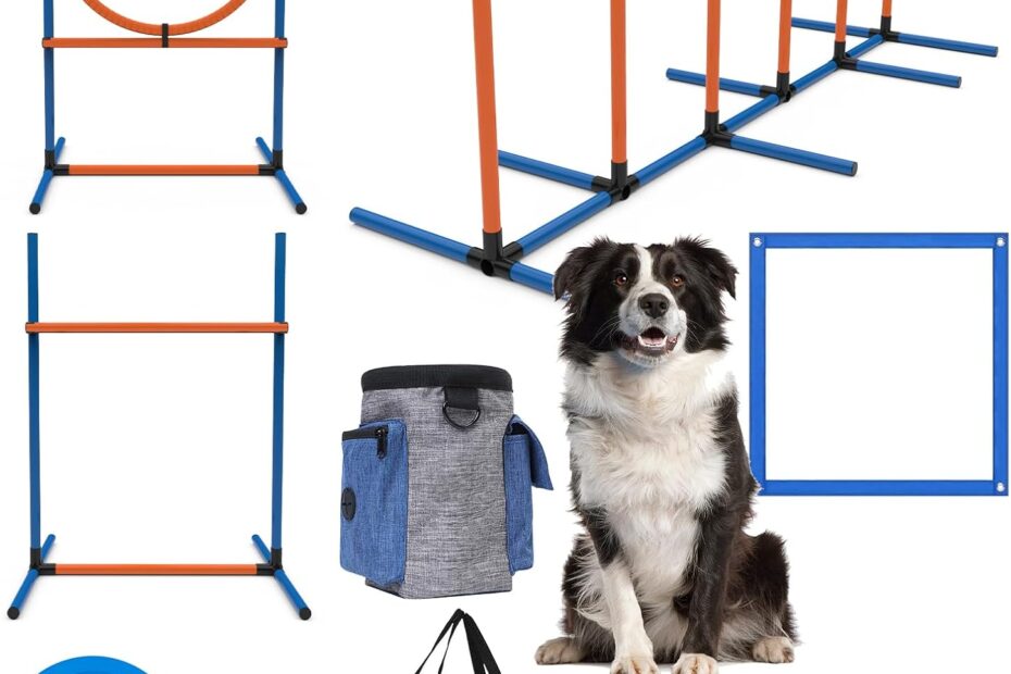 Transform Your Dog’s Playtime: Review of the 4 Sets Pets Agility Training Equipment!