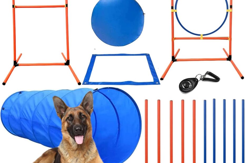 Transform Your Dog's Playtime: The Ultimate Agility Course Equipment Set Review!