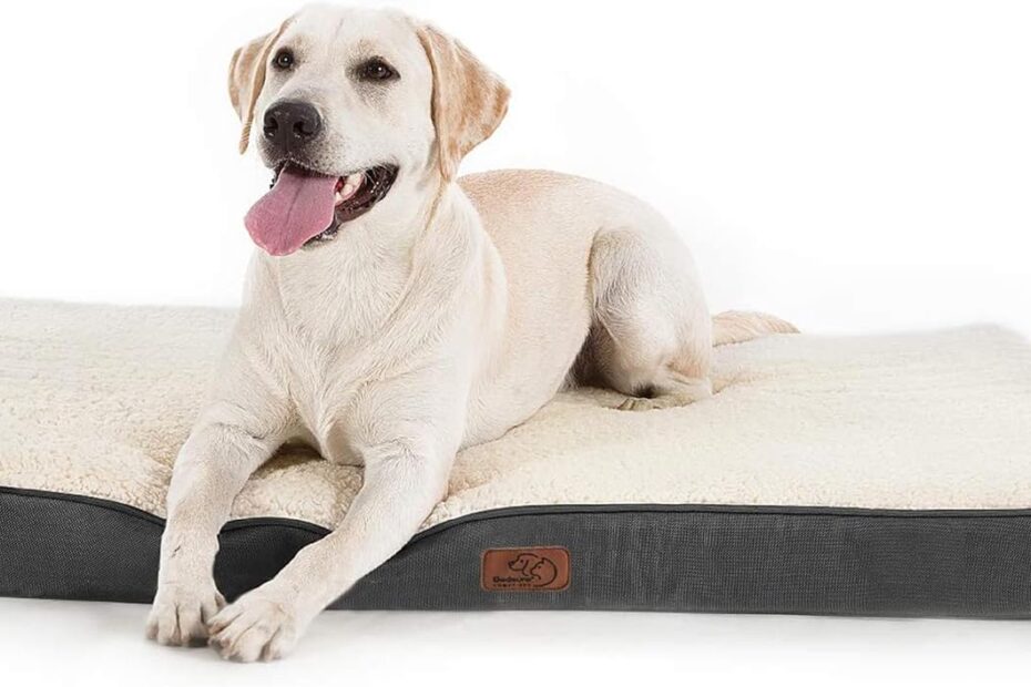 Transform Your Dog's Sleep: Review of Bedsure Orthopedic Waterproof Dog Bed