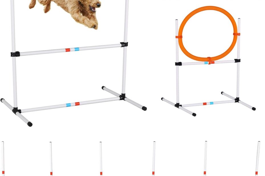 Transform Your Dog's Training: Review of the 3-Piece Agility Course Set