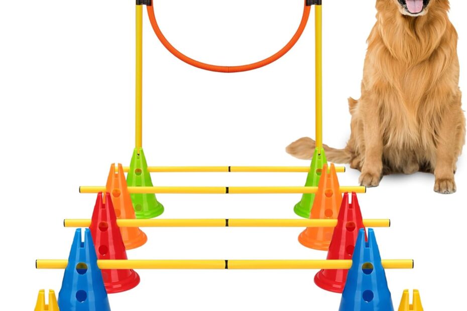 Transform Your Pup into a Pro: Review of the 6 Sets Dog Agility Hurdle Cone Set