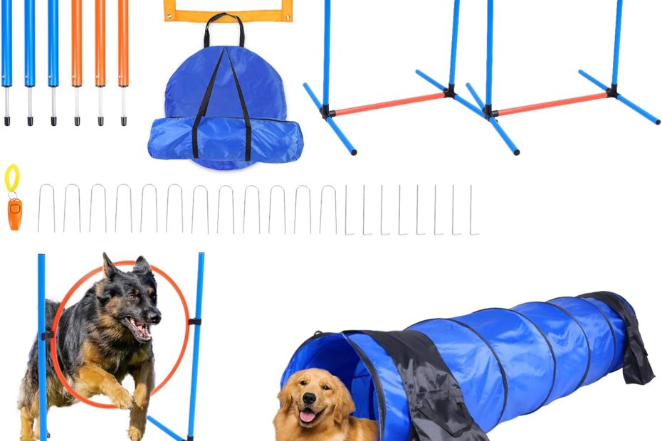 Transform Your Pup's Playtime: The Ultimate Dog Agility Training Set Review