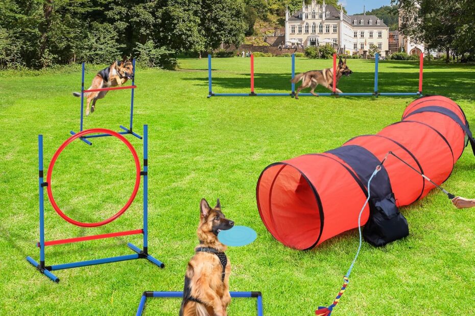Transform Your Pup's Playtime: The YITAHOME Dog Agility Training Set Reviewed!