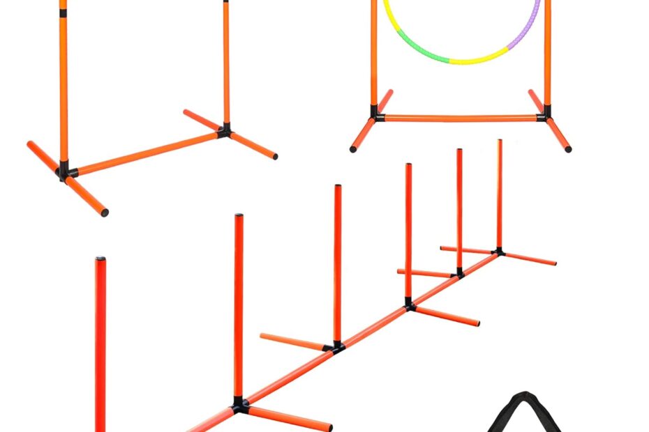 Transform Your Pup's Skills: The Ultimate Dog Agility Course Backyard Set Review
