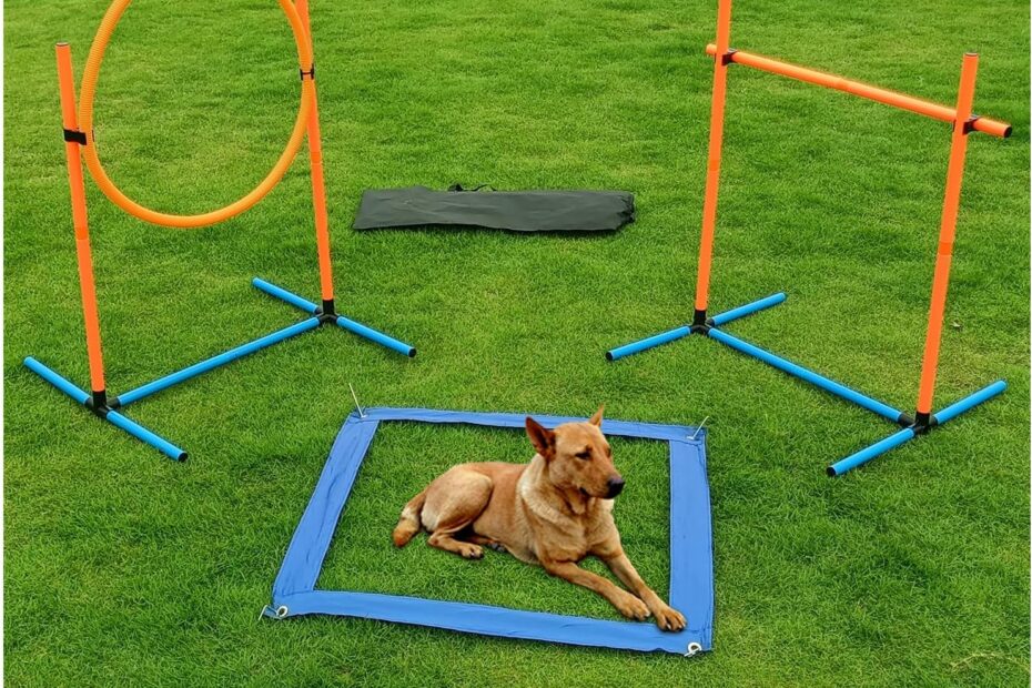 Transform Your Pup's Skills: The Ultimate Dog Agility Training Kit Review
