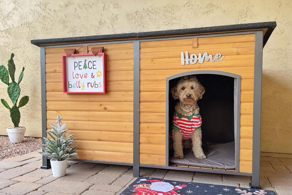 Ultimate Comfort: Aivituvin 59" Insulated Dog House Review