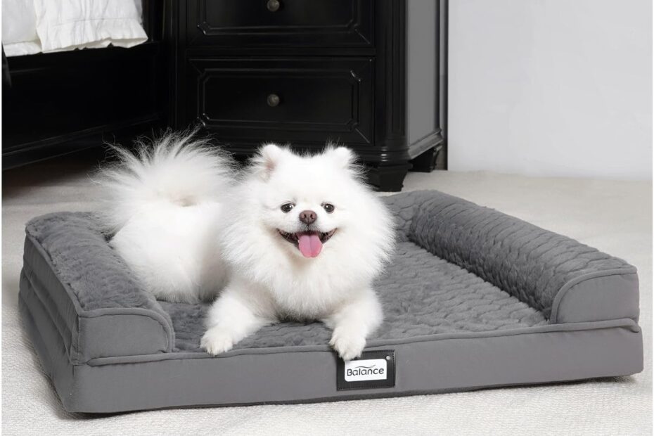 Ultimate Comfort: BALANCE Orthopedic Dog Bed Review for Your Medium-Sized Pooch