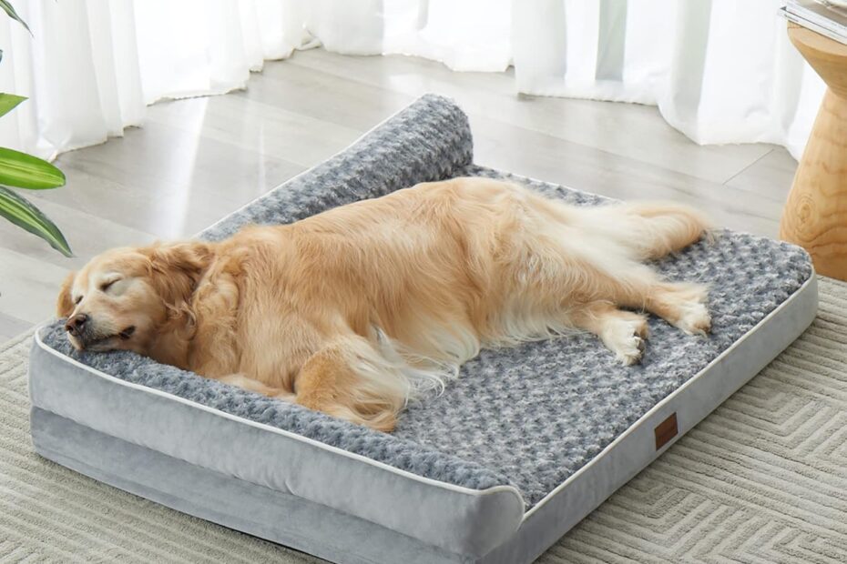 Ultimate Comfort: BFPETHOME Orthopedic Dog Bed Review for Large Paws