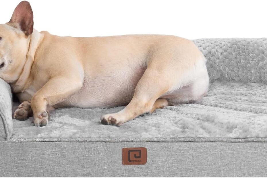 Ultimate Comfort: EHEYCIGA Memory Foam Dog Bed Review for Your Medium-Sized Pup!