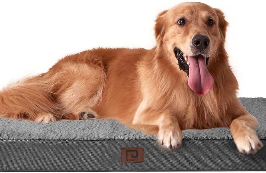 Ultimate Comfort: EHEYCIGA XL Orthopedic Dog Bed Review