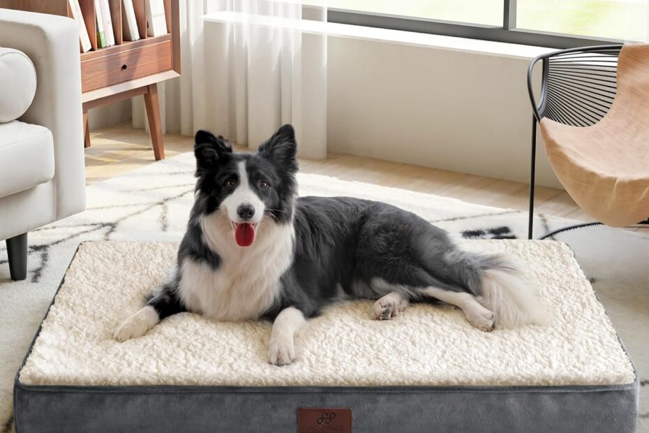 Ultimate Comfort: Figopage Large Dog Bed Review for Happy, Healthy Pups