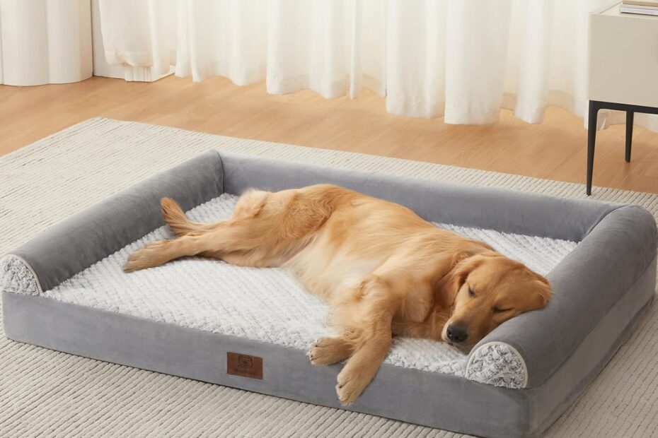Ultimate Comfort for Your Big Buddy: Top Picks for Orthopedic Dog Beds