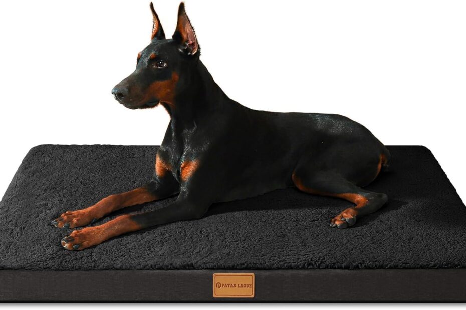 Ultimate Comfort for Your Canine: Patas Lague Orthopedic Dog Bed Review