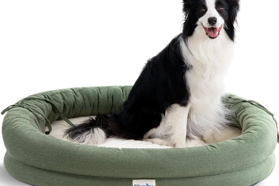 Ultimate Comfort for Your Canine: The Best Orthopedic Dog Bed Review!