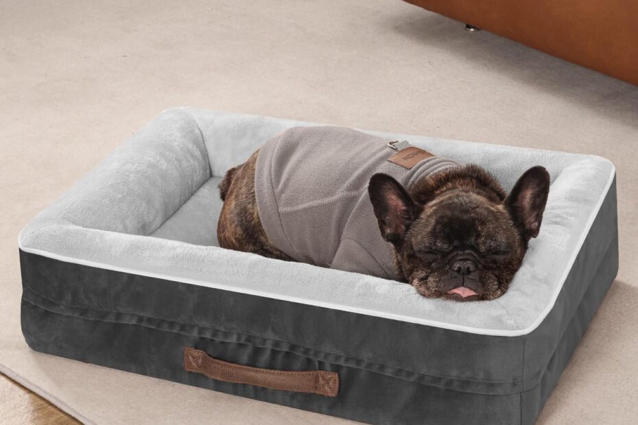 Ultimate Comfort for Your Feline: Review of the Egg Foam Orthopedic Cat Bed