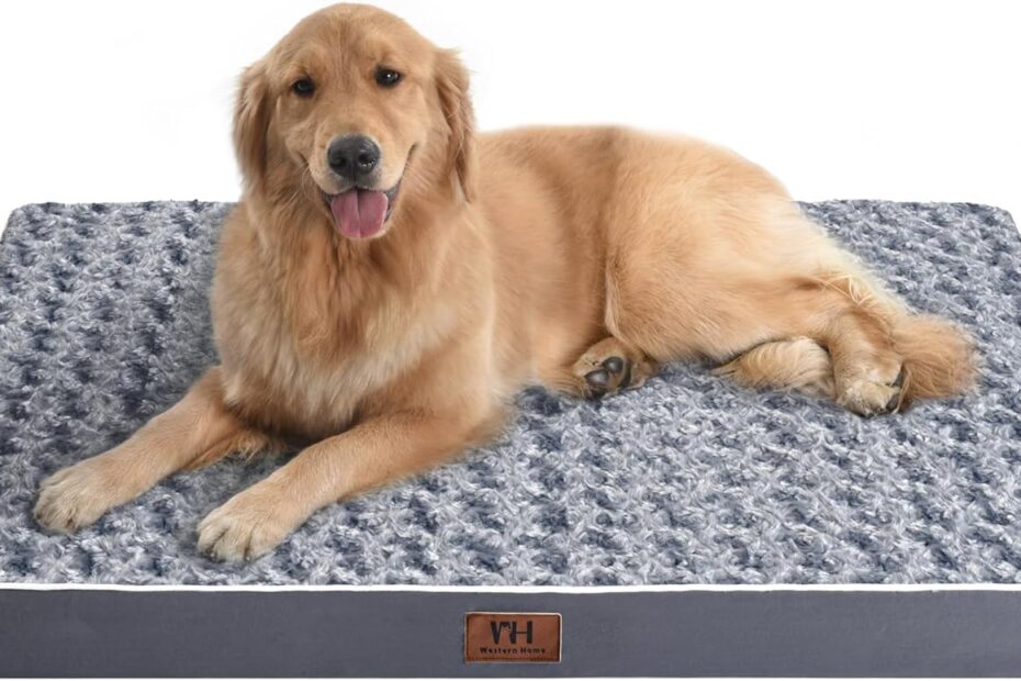Ultimate Comfort for Your Furry Friend: WESTERN HOME Orthopedic Dog Bed Review