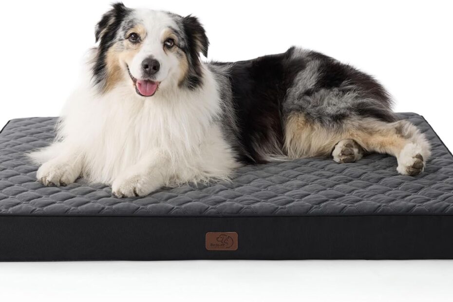 Ultimate Comfort for Your Large Pup: Bedsure Orthopedic Dog Bed Review