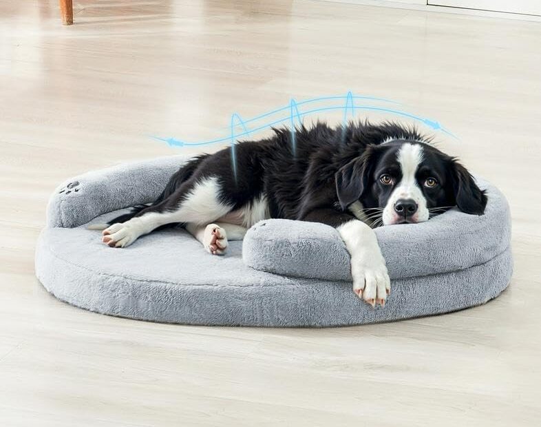 Ultimate Comfort for Your Pets: Review of the BurgeonNest Orthopedic Dog Bed