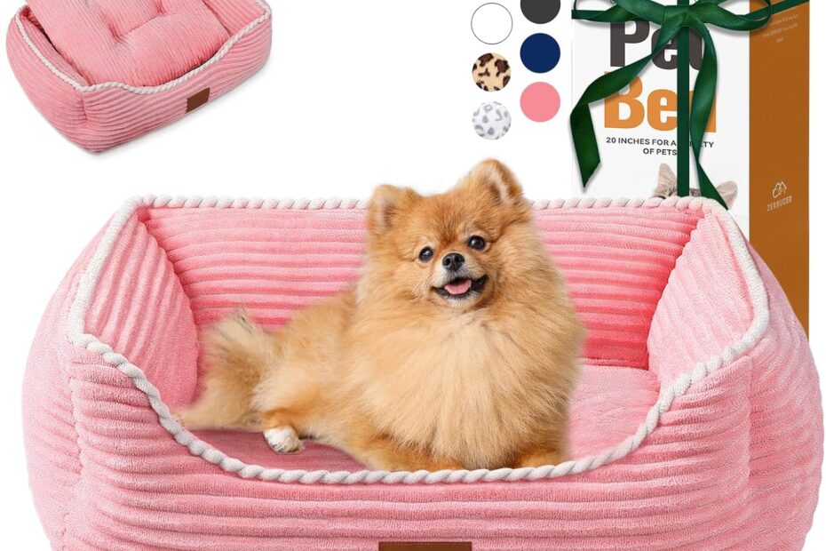 Ultimate Comfort for Your Pup: Reviews of the Orthopedic Dog Bed for Medium Dogs
