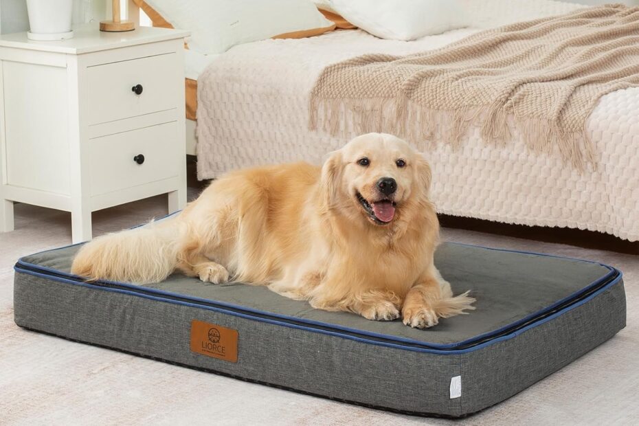 Ultimate Comfort for Your XL Pup: Review of the Orthopedic Memory Foam Dog Bed