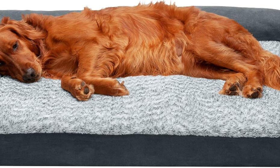 Ultimate Comfort: Furhaven Memory Foam Dog Bed Review for Large Breeds