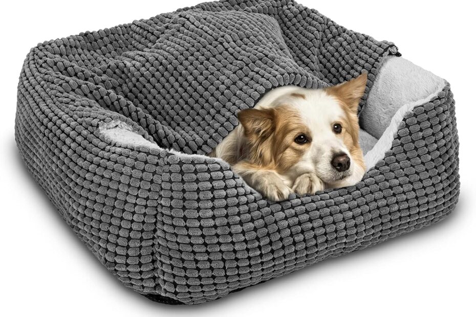 Ultimate Comfort: GASUR Luxury Dog & Cat Bed Review