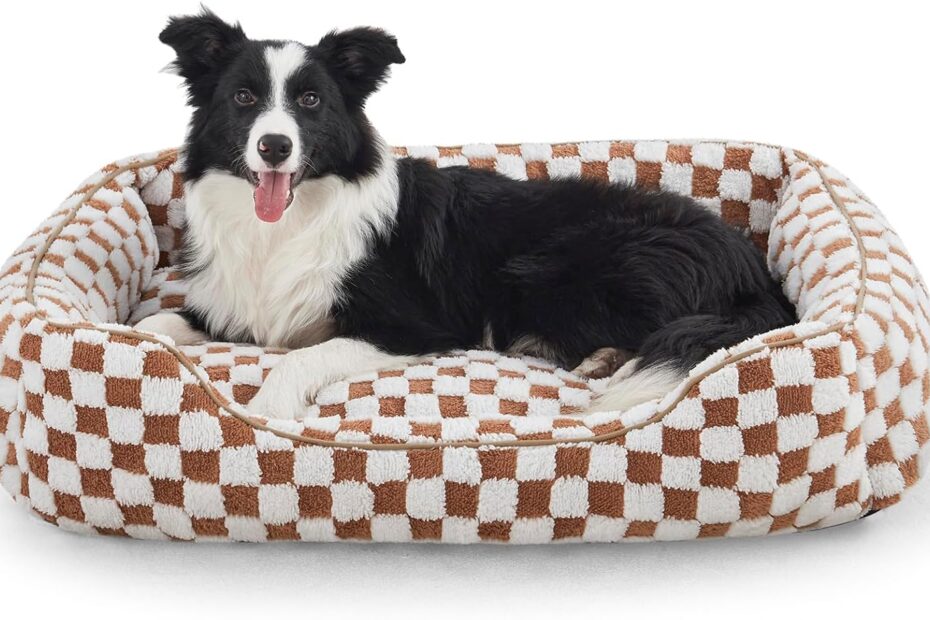 Ultimate Comfort: JOEJOY Orthopedic Dog Bed Review for All Breeds