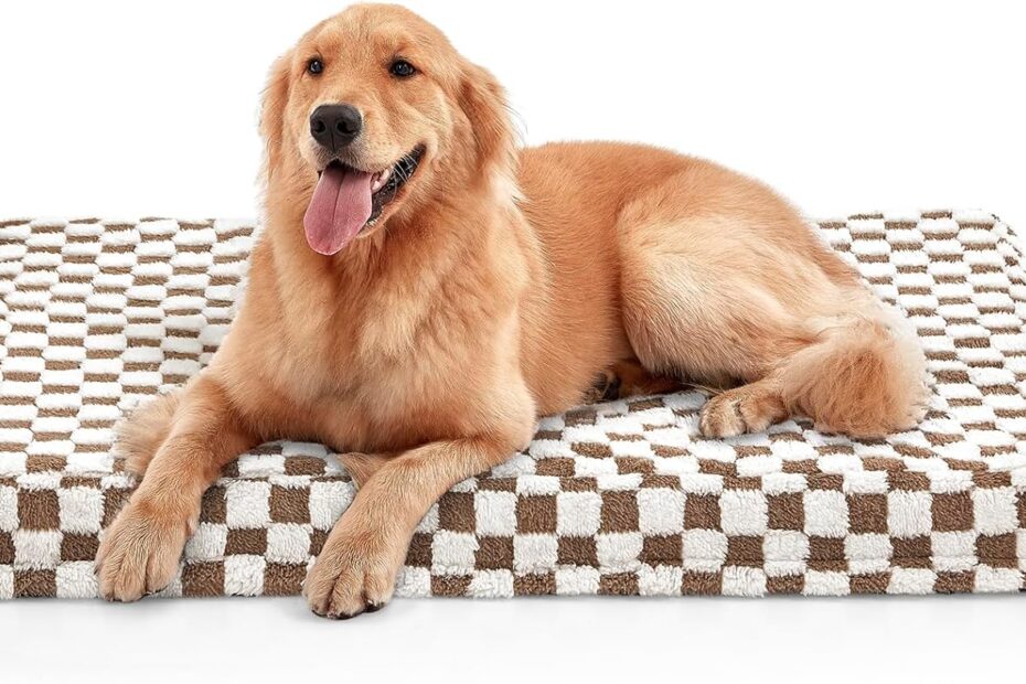 Ultimate Comfort: JOEJOY XLarge Orthopedic Dog Bed Review