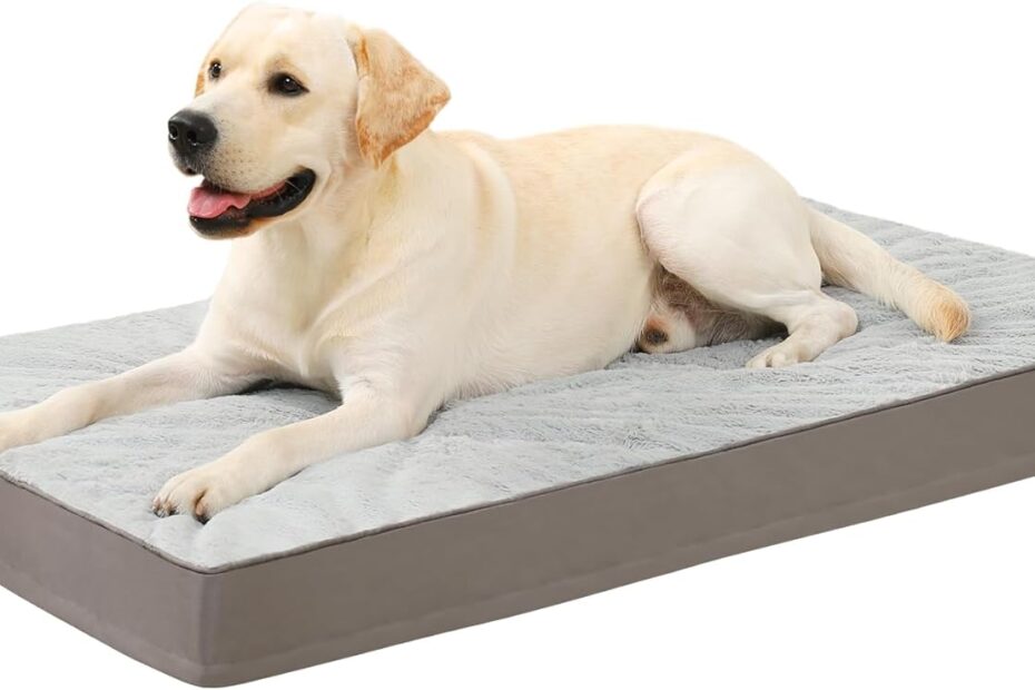 Ultimate Comfort: KSIIA Orthopedic Dog Bed Review for Happy Pups!