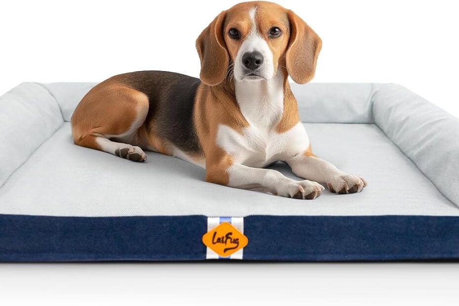 Ultimate Comfort: Laifug Orthopedic Dog Bed Review for Medium Pets