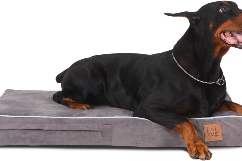 Ultimate Comfort: Laifug Orthopedic Memory Foam Dog Bed Review