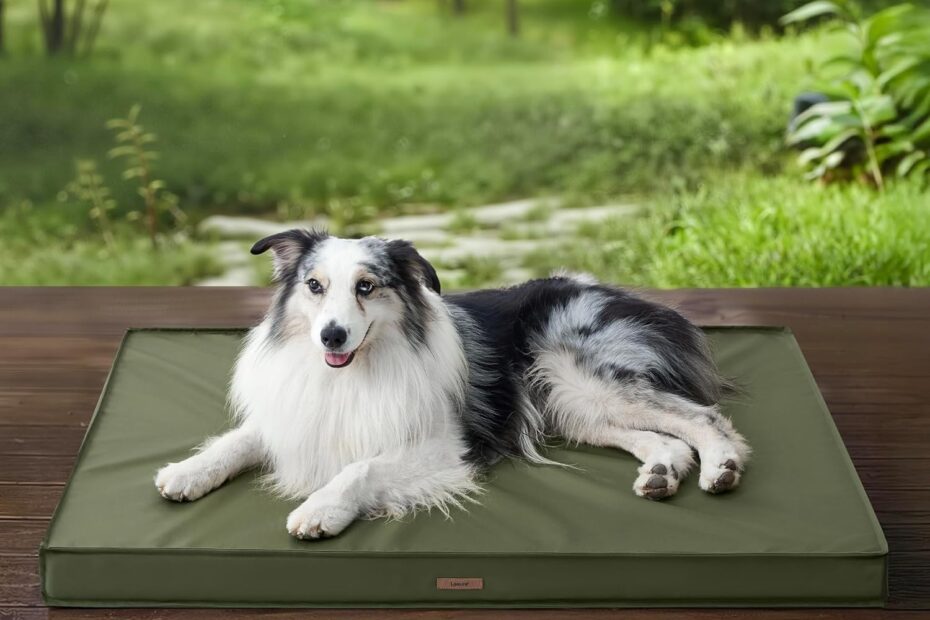 Ultimate Comfort: Lesure Waterproof Orthopedic Dog Bed Review