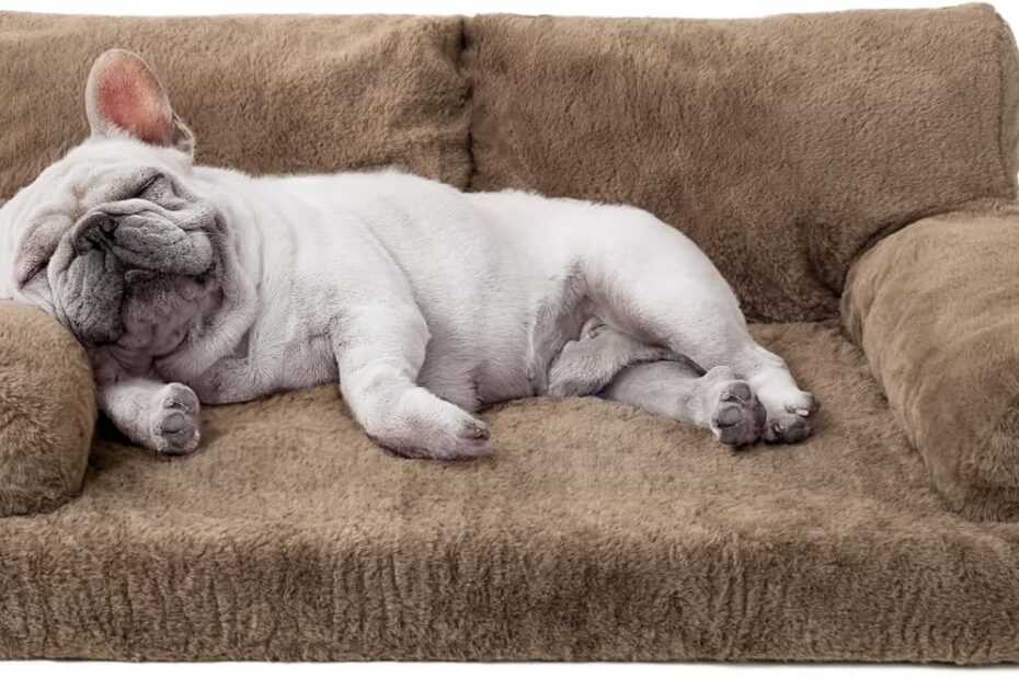 Ultimate Comfort: MEWOOFUN Orthopedic Dog Bed Review for Happy, Healthy Pets