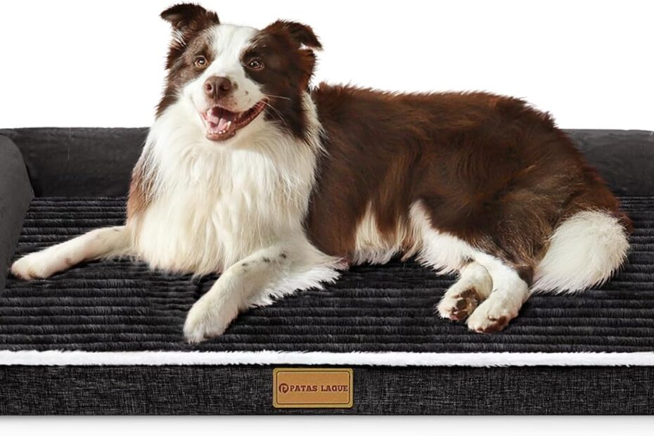 Ultimate Comfort: Patas Lague Orthopedic Dog Bed Review for Large Dogs