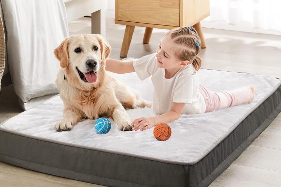 Ultimate Comfort: Review of BFPETHOME's Indestructible Orthopedic Dog Bed for Large Breeds