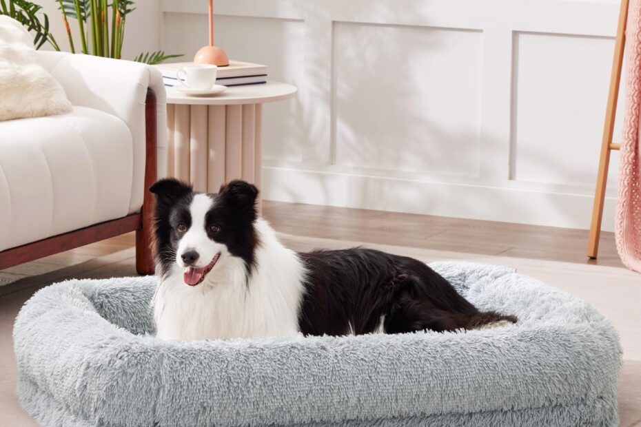 Ultimate Comfort: Review of Donut Dog Beds for Large Dogs