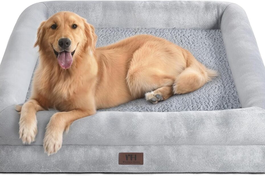 Ultimate Comfort: Review of Orthopedic Dog Beds for Large & Extra Large Dogs