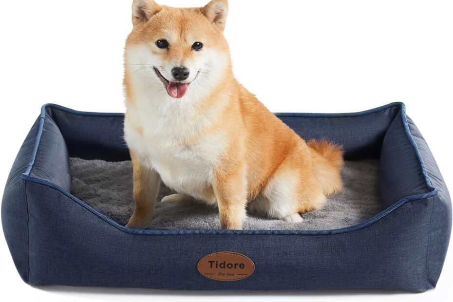 Ultimate Comfort: Review of Orthopedic Dog Beds for Medium Dogs