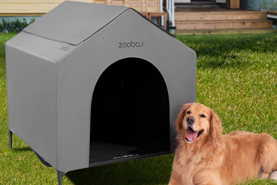 Ultimate Comfort: Review of the 42” Outdoor Dog House for Large Breeds