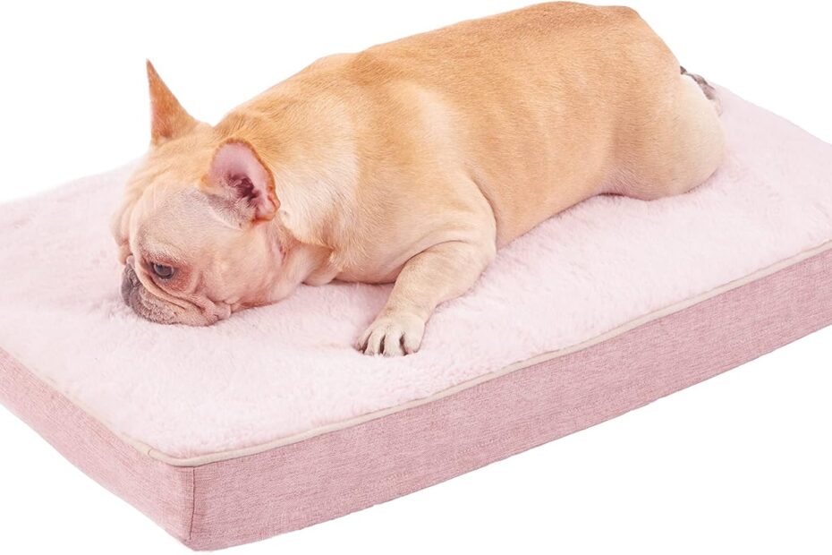 Ultimate Comfort: Review of the Best Medium Dog Bed for Your Furry Friend